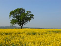 Napton on the hill Wallpaper