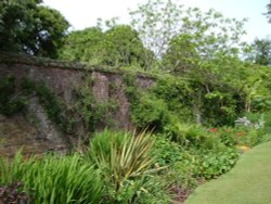 Trelissick Gardens June 2009 Wallpaper