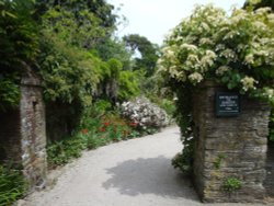 Trelissick Gardens June 2009 Wallpaper