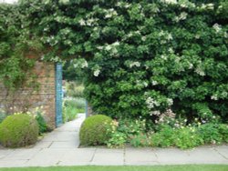 Sissinghurst June 2008 Wallpaper