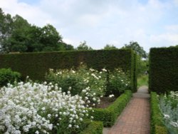 Sissinghurst June 2008 Wallpaper