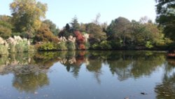 Wakehurst Place Autumn 2011 Wallpaper