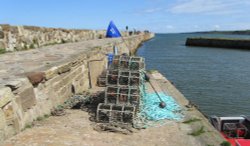 St Andrews Harbour Wallpaper