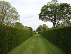 Lytes Cary Manor, June 2009 Wallpaper