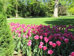 Constable Burton Hall Gardens Wallpaper