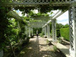 Bodnant Garden, June 2011 Wallpaper