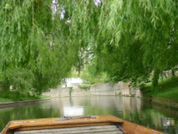 Underneath the Willow Trees, College Backs, Cambridge Wallpaper