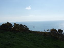 On the Coastal Path to Dartmouth Castle Wallpaper