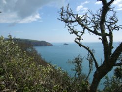 On the Coastal Path to Dartmouth Castle Wallpaper