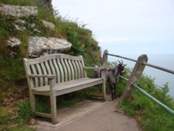 Lynton and Lynmouth, June 2009 Wallpaper