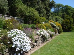 Coleton Fishacre, June 2009 Wallpaper