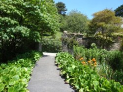 Coleton Fishacre, June 2009 Wallpaper