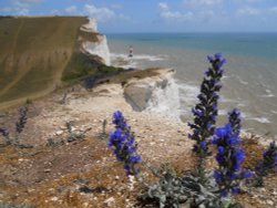 Beachy Head, Eastbourne Wallpaper