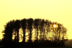 Setting sun, Bernwood area, Botolph Claydon, Buckinghamshire Wallpaper