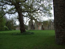 Netley Abbey Wallpaper