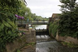 Warnham Nature Reserve - the Sluice gate Wallpaper