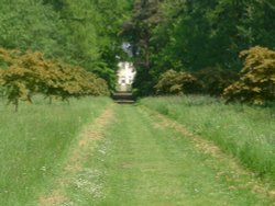 Walking Track, Thorp Perrow Arboretum Wallpaper