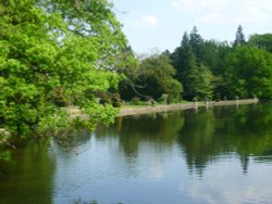 Lake at Thorp Perrow Arboretum Wallpaper