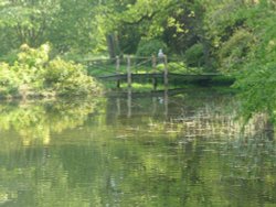 Footbridge at Thorp Perrow Arboretum Wallpaper