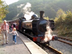 Gwili Railway, near Bronwydd Arms Wallpaper