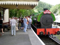 At Llwyfan Cerrig Station, near Bronwydd Arms. Wallpaper