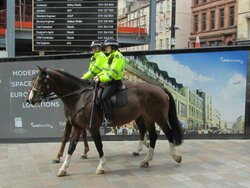 Mounted Police Wallpaper