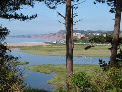 Budleigh Salterton Wallpaper