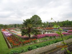 Kensington Palace Gardens in Spring Wallpaper