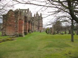 Melrose Abbey Wallpaper