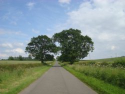 Ambion Lane towards Sutton Cheney Wallpaper