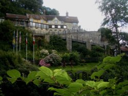 Shanklin Chine Wallpaper