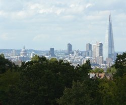 A View from Horniman Museum Gardens. Wallpaper