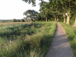 Carlton Marshes Wallpaper