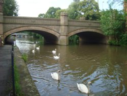 River Soar Wallpaper