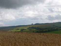 High on the plateau above Plush, Dorset Wallpaper