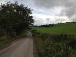 Single lane road leaving Plush, Dorset Wallpaper