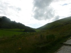 Southwest Coast Path, West Lulworth, Dorset Wallpaper