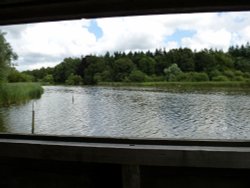 Heron Hide - Warnham Nature Reserve. Wallpaper