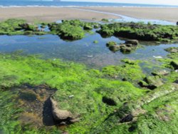 Kirkcaldy Beach Wallpaper