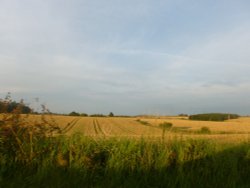 Chilterns Landscape Wallpaper