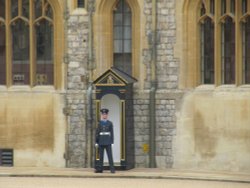 A Sentry at Windsor Castle Wallpaper