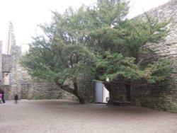 Craigmillar Castle, Edinburgh Wallpaper