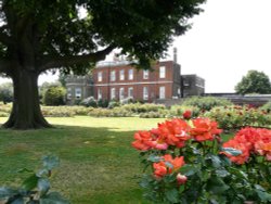 The Rose Garden, Greenwich Park Wallpaper