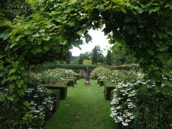 Pashley Manor Gardens Wallpaper