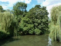 River Mole at Thornycroft Wallpaper