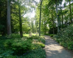 Tree Trail, Thorp Perrow Arboretum Wallpaper