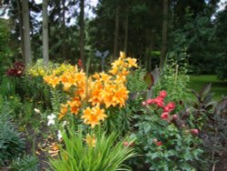 Pashley Manor Gardens Wallpaper