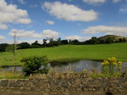 Waterlogged Field Wallpaper