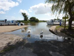 The River Waveney Wallpaper