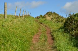 SW Coast Path near Mevagissey Wallpaper